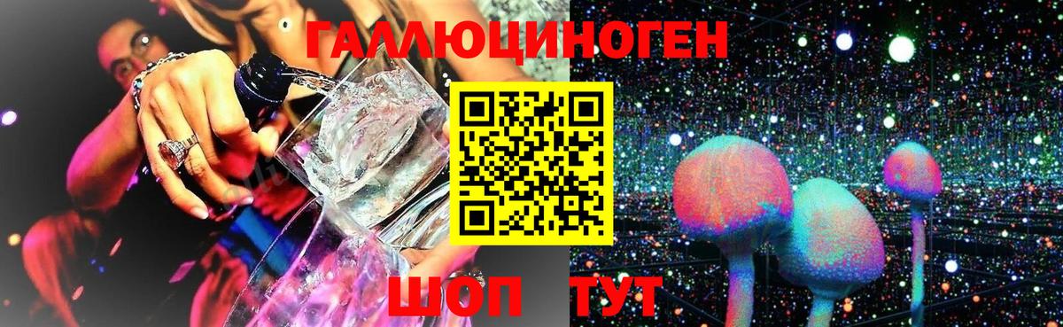 Галлюциногенные грибы мухоморы Котлас