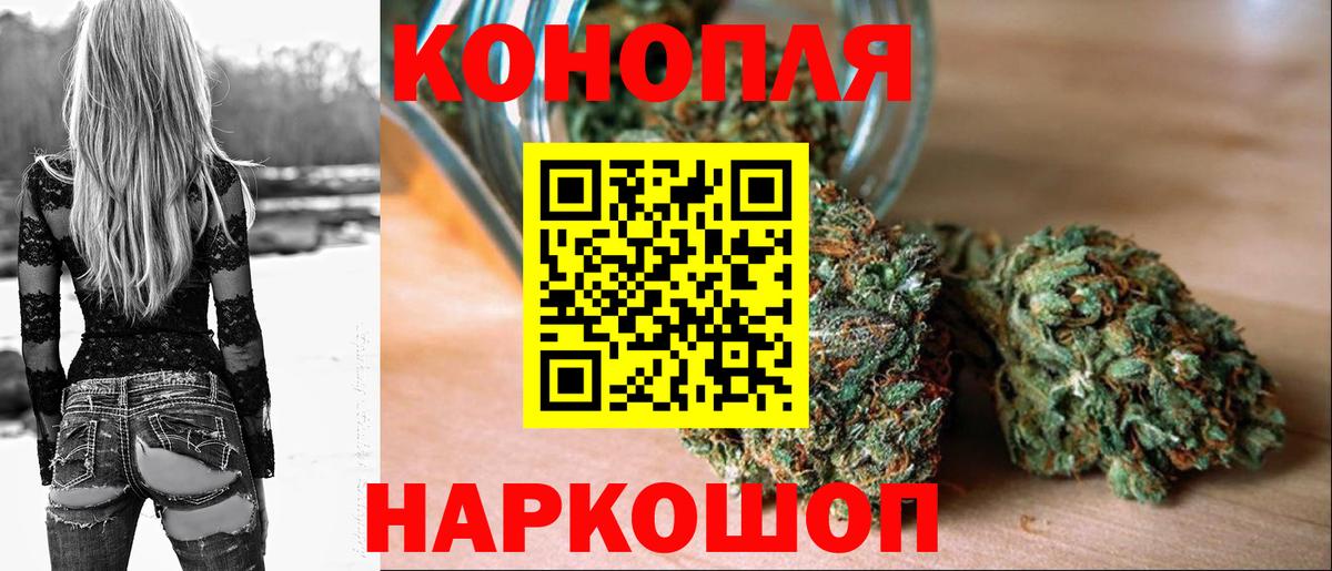 Котлас  Бошки марихуана планчик  Бошки Шишки планчик  Вход с VPN 